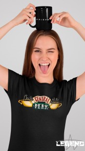 FRIENDS - Central Perk 2